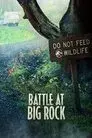 Battle at Big Rock