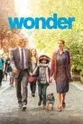 Wonder