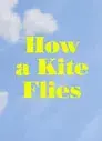 How a Kite Flies